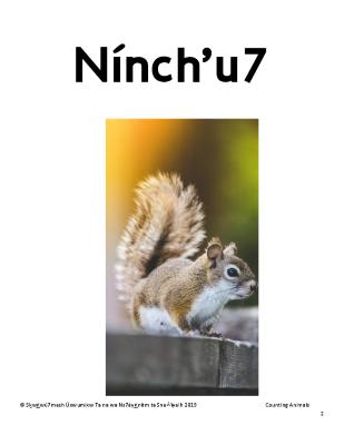 Squamish Counting Animals Flashcards