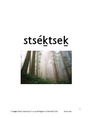 stséḵtseḵ - Squamish Trees Flashcards