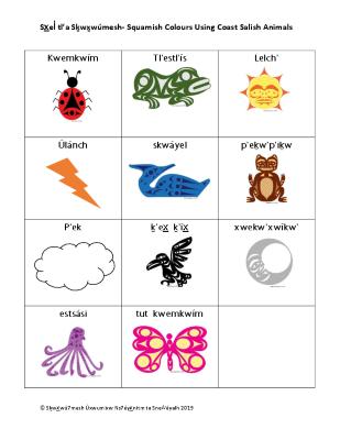 Sx̱el̓ tl’a Sḵwx̱wú7mesh - Squamish Colours Using Coast Salish Animals