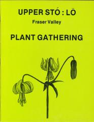 Upper Stó:lō, Fraser Valley plant gathering