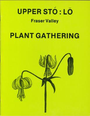 Upper Stó:lō, Fraser Valley plant gathering