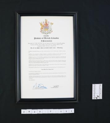 2022.007.111.JPG