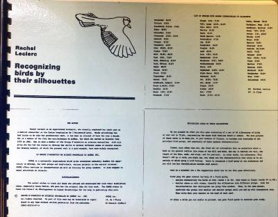 Recognizing birds by their silhouettes